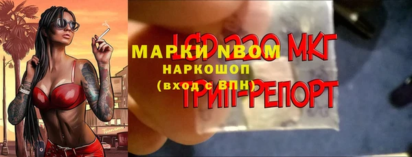 индика Белоозёрский