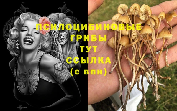 индика Белоозёрский