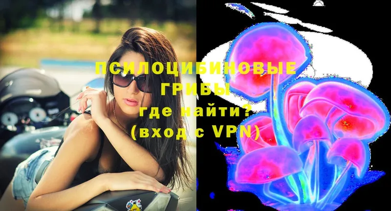 Галлюциногенные грибы MAGIC MUSHROOMS  купить   Зеленокумск 